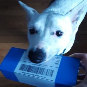 Meet your Posher, Audrey